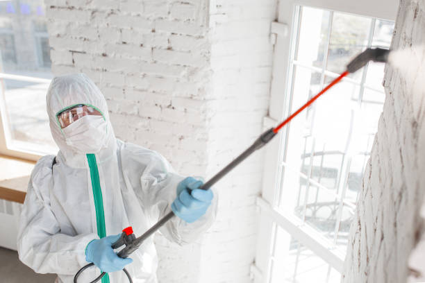 Best Industrial Mold Remediation  in Morris Plains, NJ